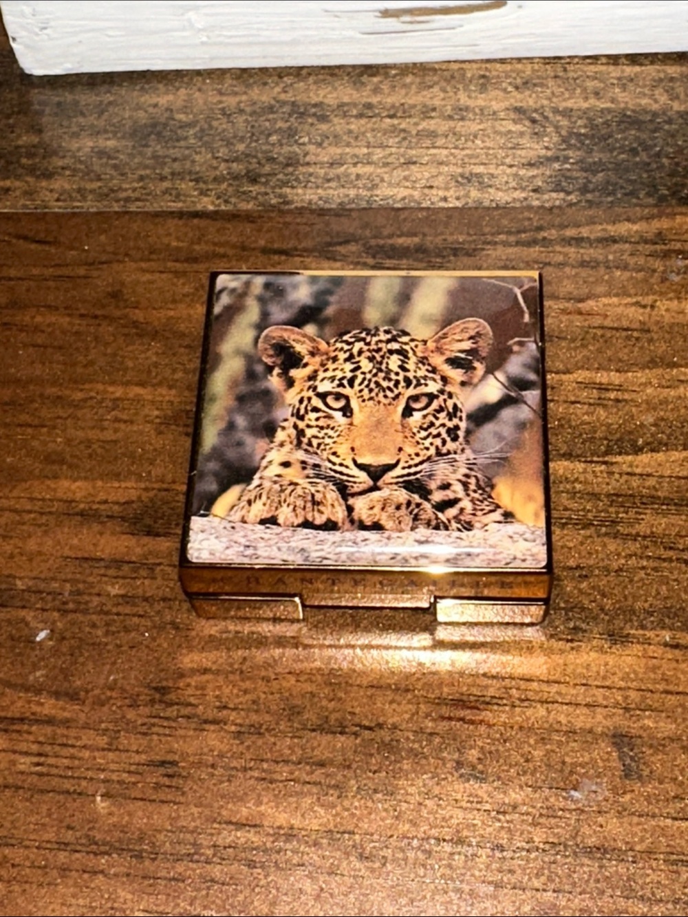Chantecaille Luminescent Eye Shade - Leopard